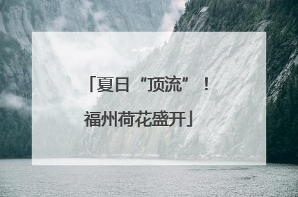 夏日“顶流”！福州荷花盛开