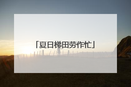 夏日梯田劳作忙