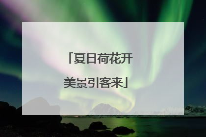 夏日荷花开 美景引客来