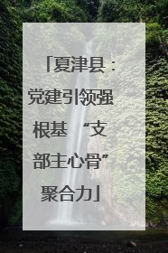 夏津县：党建引领强根基 “支部主心骨”聚合力