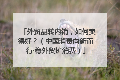 外贸品转内销，如何卖得好？（中国消费向新而行·稳外贸扩消费）
