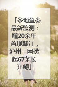 多地鱼类最新监测：鳤20余年首现赣江，泸州一网捞起67条长江鲟