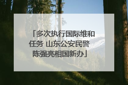 多次执行国际维和任务 山东公安民警陈强亮相国新办