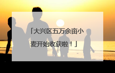 大兴区五万余亩小麦开始收获啦！