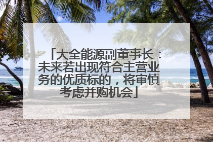 大全能源副董事长：未来若出现符合主营业务的优质标的，将审慎考虑并购机会