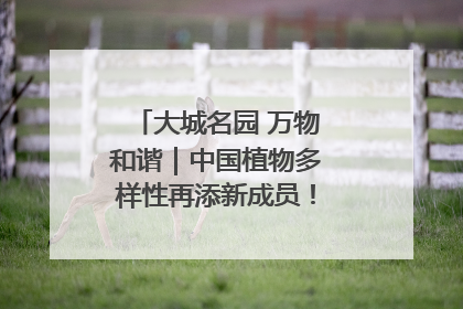 大城名园 万物和谐｜中国植物多样性再添新成员！它只在西藏墨脱