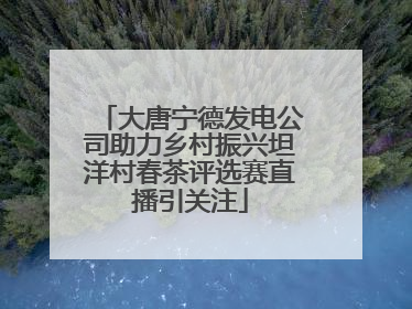大唐宁德发电公司助力乡村振兴坦洋村春茶评选赛直播引关注