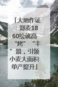 大地作证：郑麦1860绘就高“烤”“丰”景，引领小麦大面积单产提升