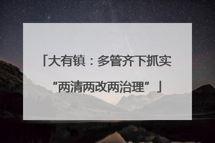 大有镇：多管齐下抓实“两清两改两治理”