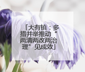 大有镇：多措并举推动“两清两改两治理”见成效
