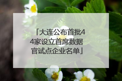 大连公布首批44家设立首席数据官试点企业名单