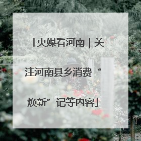 央媒看河南｜关注河南县乡消费“焕新”记等内容