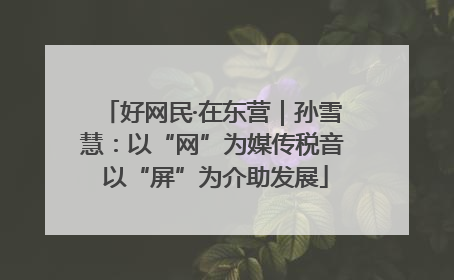 好网民·在东营｜孙雪慧：以“网”为媒传税音 以“屏”为介助发展