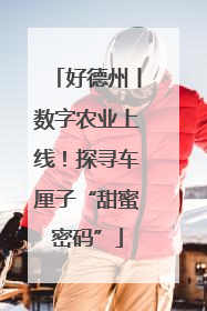 好德州丨数字农业上线！探寻车厘子“甜蜜密码”