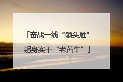 奋战一线“领头雁” 躬身实干“老黄牛”