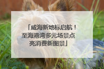 威海新地标启航！至海港湾多元场景点亮消费新图景