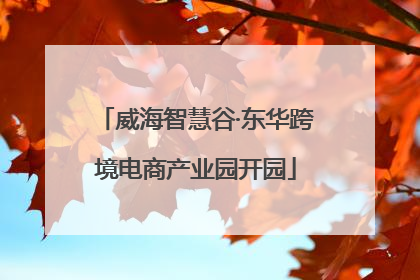 威海智慧谷·东华跨境电商产业园开园