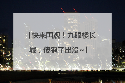 快来围观！九眼楼长城，傻狍子出没~