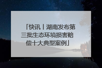 快讯丨湖南发布第三批生态环境损害赔偿十大典型案例