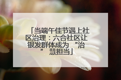当端午佳节遇上社区治理：六合社区让银发群体成为 “治” 慧担当
