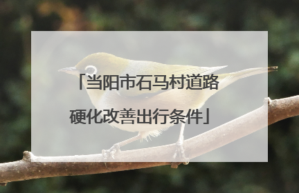 当阳市石马村道路硬化改善出行条件