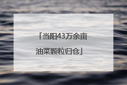 当阳43万余亩油菜颗粒归仓