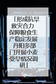 形成抗旱救灾合力 保障粮食生产稳定发展 丹阳多部门开展小麦受旱情况调研