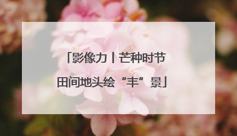 影像力丨芒种时节 田间地头绘“丰”景