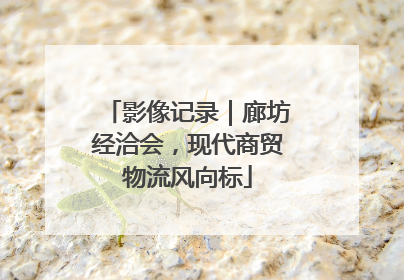 影像记录｜廊坊经洽会，现代商贸物流风向标