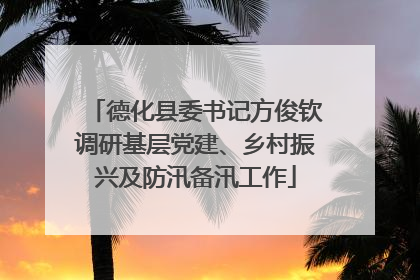 德化县委书记方俊钦调研基层党建、乡村振兴及防汛备汛工作