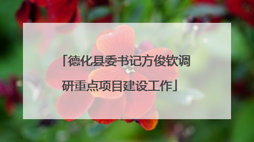 德化县委书记方俊钦调研重点项目建设工作