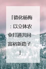 德化杨梅：以立体农业打通共同富裕新路子