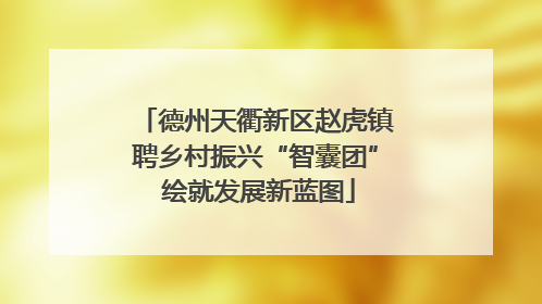 德州天衢新区赵虎镇聘乡村振兴“智囊团” 绘就发展新蓝图