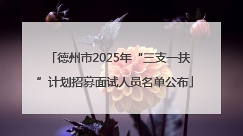 德州市2025年“三支一扶”计划招募面试人员名单公布