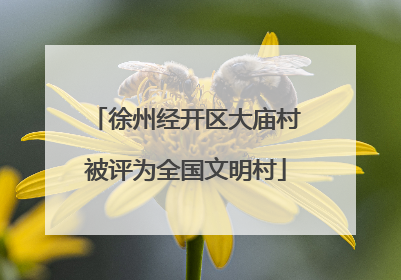 徐州经开区大庙村被评为全国文明村