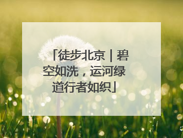 徒步北京｜碧空如洗，运河绿道行者如织