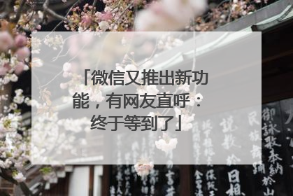 微信又推出新功能，有网友直呼：终于等到了