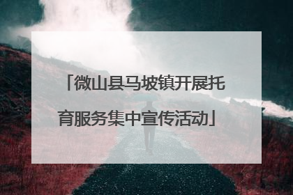 微山县马坡镇开展托育服务集中宣传活动