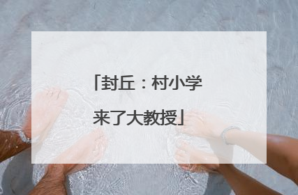 封丘：村小学来了大教授