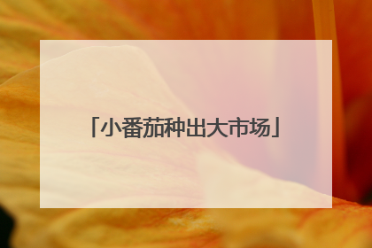 小番茄种出大市场