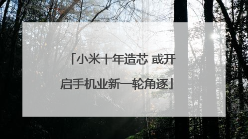 小米十年造芯 或开启手机业新一轮角逐