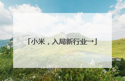 小米，入局新行业→
