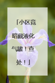小区竟暗藏液化气罐！查处！
