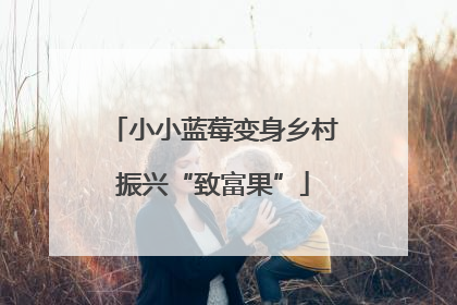 小小蓝莓变身乡村振兴“致富果”
