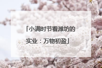 小满时节看潍坊的实业：万物初盈