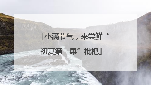 小满节气，来尝鲜“初夏第一果”枇杷