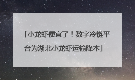 小龙虾便宜了！数字冷链平台为湖北小龙虾运输降本