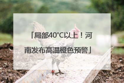 局部40℃以上！河南发布高温橙色预警