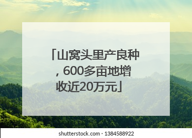 山窝头里产良种，600多亩地增收近20万元