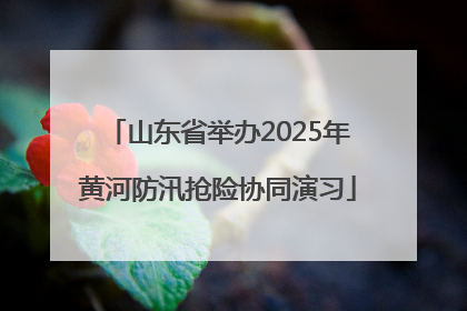 山东省举办2025年黄河防汛抢险协同演习